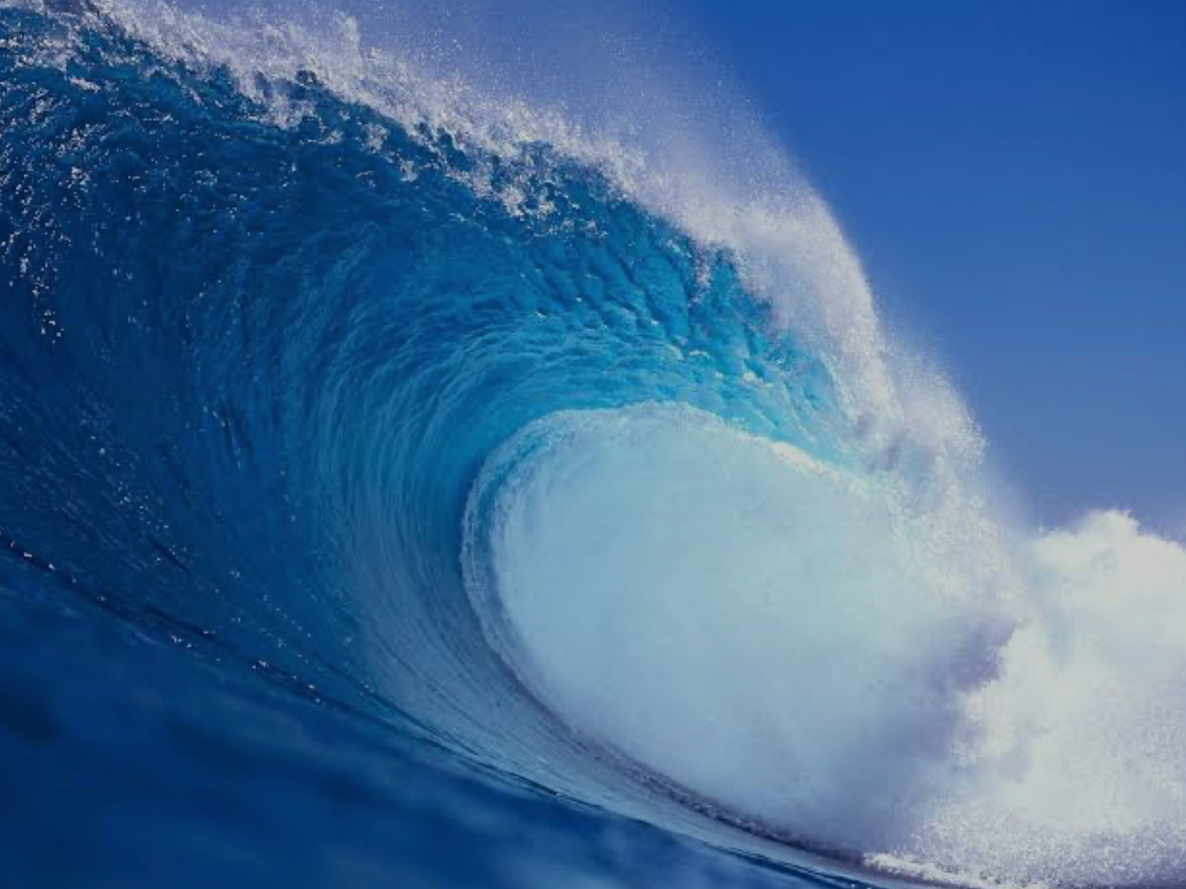 En este momento estás viendo Learning to Ride the Emotional Waves!